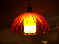 Pendant lamp y