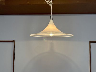 画像1: Pendant lamp RL-040