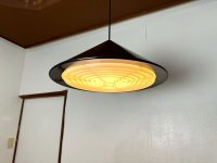 Pendant lamp RL-042