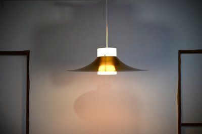 画像1: Pendant lamp RL-049