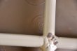 画像6: Stool   RC-016 (6)
