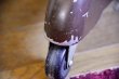 画像9: Desk chair   RC-018 (9)