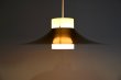 画像8: Pendant lamp RL-049