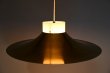 画像3: Pendant lamp RL-049