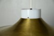 画像7: Pendant lamp RL-049