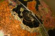 画像5: Black Globe RG-015 (5)
